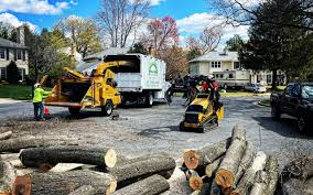 Best Arborist Consultation Services  in Millersburg, PA